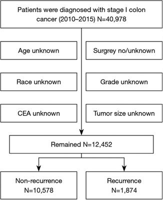 Analysis of risk factors for postoperative recurrence of stage I colorectal cancer: a retrospective analysis of a large population